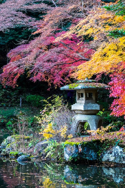 Ogród japoński Karpacz zachwyca unikalnym pięknem