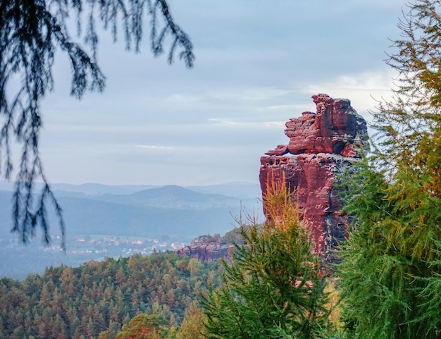 Restauracja Karpacz – Odkryj Najlepsze Smaki Tego Regionu