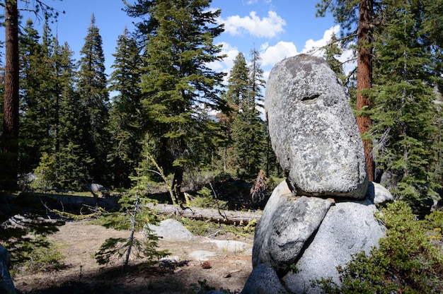 Noclegi w górach blisko tras – idealne dla turystów