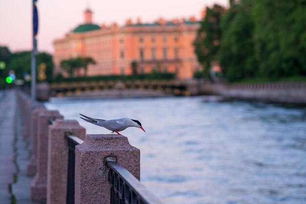 Noclegi Warszawa Centrum Apartament – Komfort w Serce Miasta