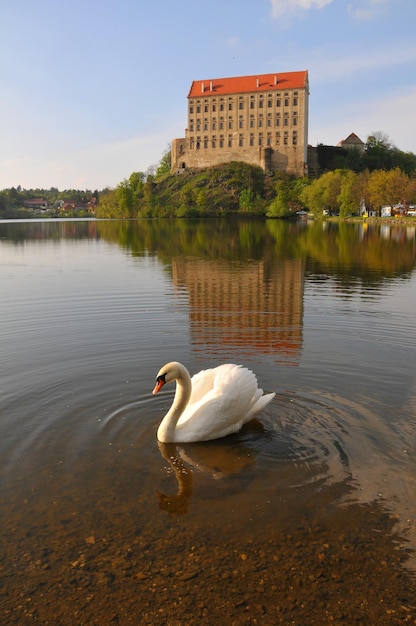 Hotel ibis budget warszawa zagórna 1 oferuje komfort i oszczędność