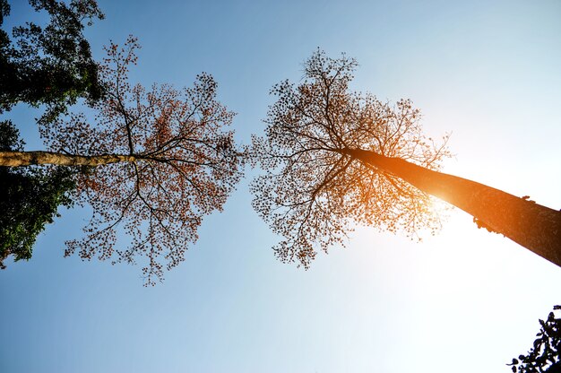 Hotel by Hilton Warszawa oferuje luksusowy komfort jakość